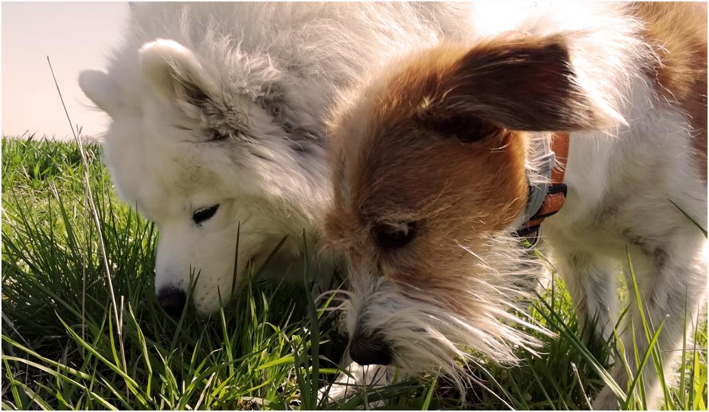 K800_Kopie IMG_20210428_114442