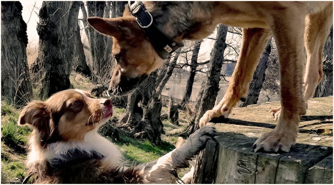 K800_Kopie IMG_20220324_172030